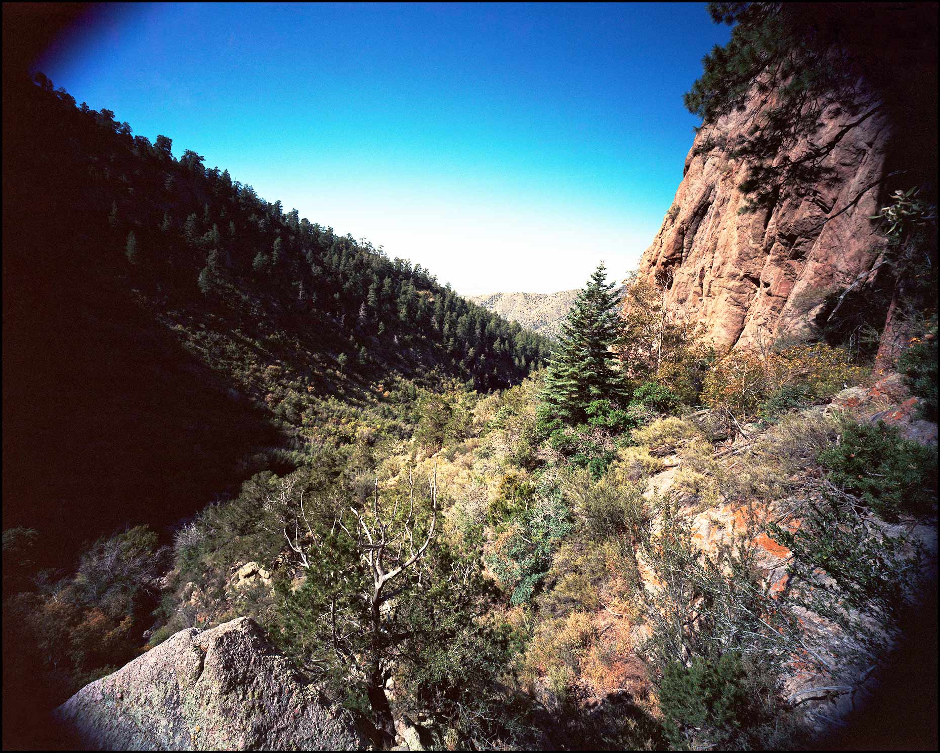 Sandia-Mountains_Fletcher-Trail-2_1